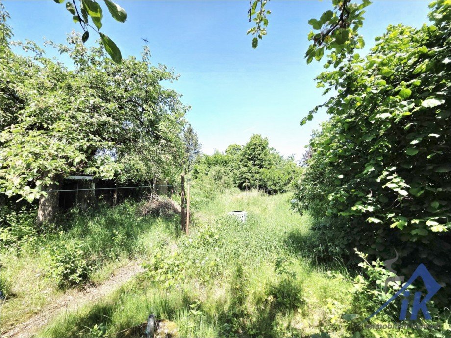 Garten Doppelhaush�lfte Homburg