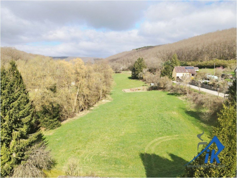 Wiesenlandschaft Zweifamilienhaus L�llbach